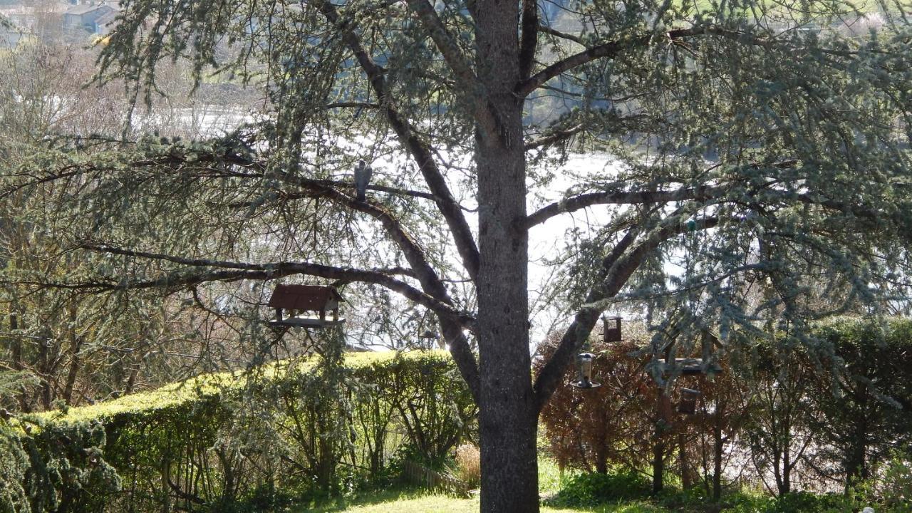 The Petite Chalet Chambre D'Hotes L'Isle-Jourdain  Εξωτερικό φωτογραφία