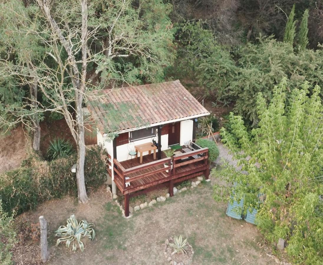 The Petite Chalet Chambre D'Hotes L'Isle-Jourdain  Εξωτερικό φωτογραφία